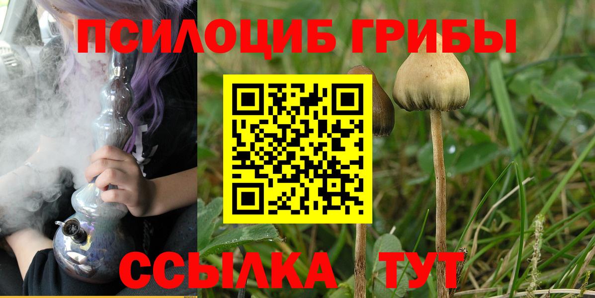 Галлюциногенные грибы Psilocybine cubensis  Псилоцибиновые грибы мицелий  Вход с VPN  Орёл 